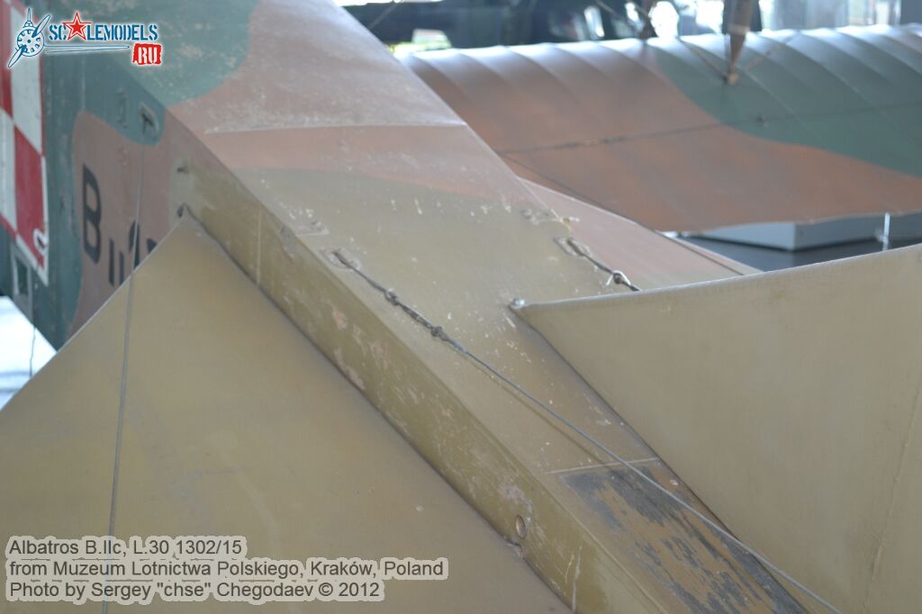 Albatros_BIIc_0011.jpg