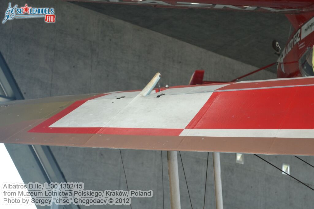 Albatros_BIIc_0012.jpg