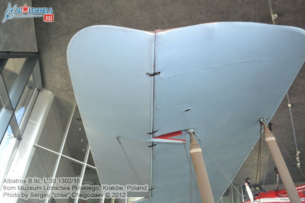 Albatros_BIIc_0021.jpg