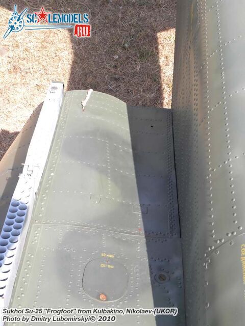 Su-25 Ukraine (38).JPG