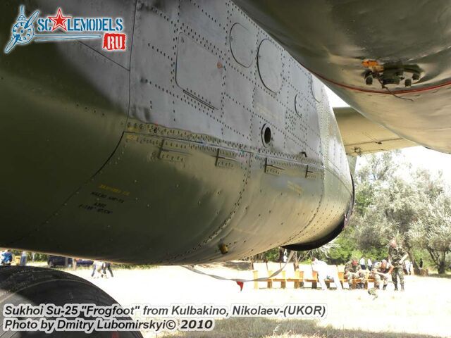 Su-25 Ukraine (44).JPG