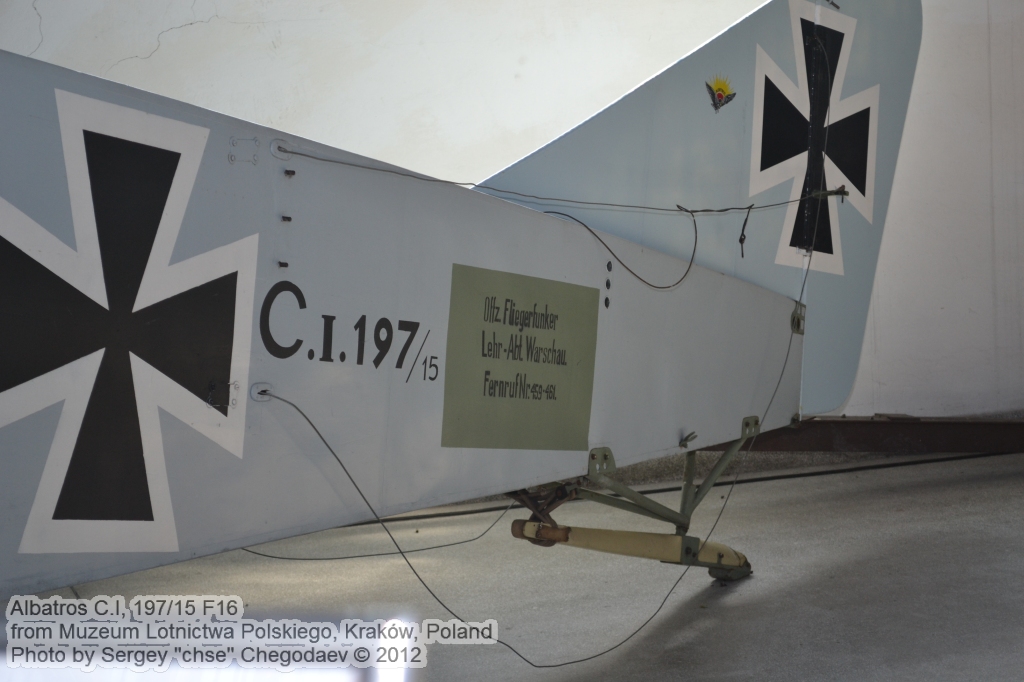 Albatros_CI_0006.jpg