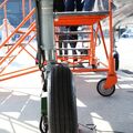 IMG_3491.JPG