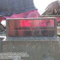 Coyote_0116.jpg