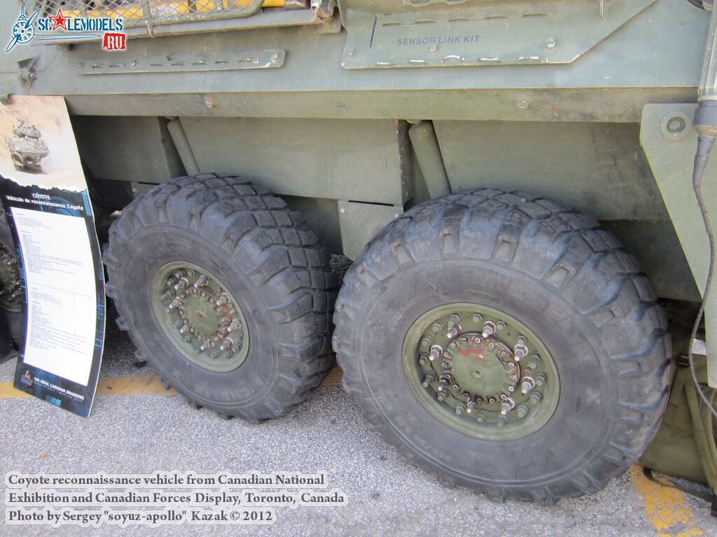 Coyote_0047.jpg