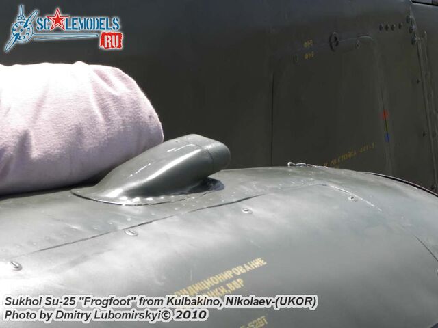 Su-25 Ukraine (54).JPG