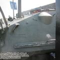 Coyote_0037.jpg