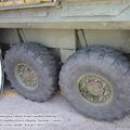 Coyote_0047.jpg