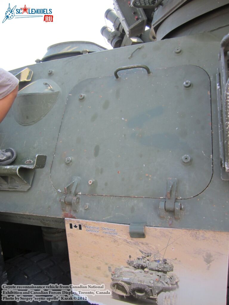 Coyote_0050.jpg