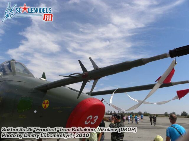 Su-25 Ukraine (63).JPG