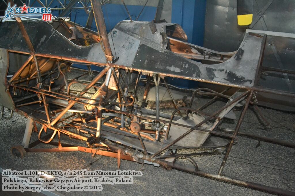 Albatros_L101_0005.jpg