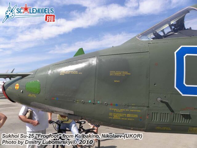 Su-25 Ukraine (74).JPG