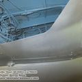 L-29_Delfin_0267.jpg