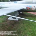 L-29_Delfin_0245.jpg