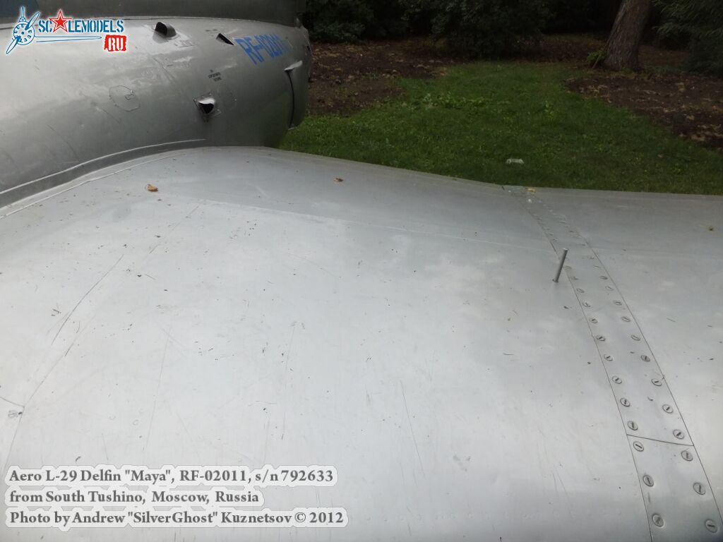 L-29_Delfin_0012.jpg