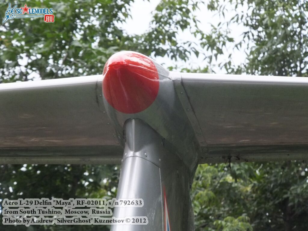 L-29_Delfin_0023.jpg