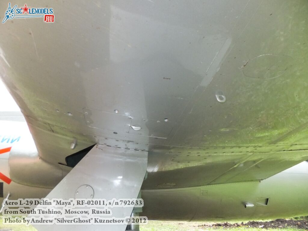 L-29_Delfin_0073.jpg