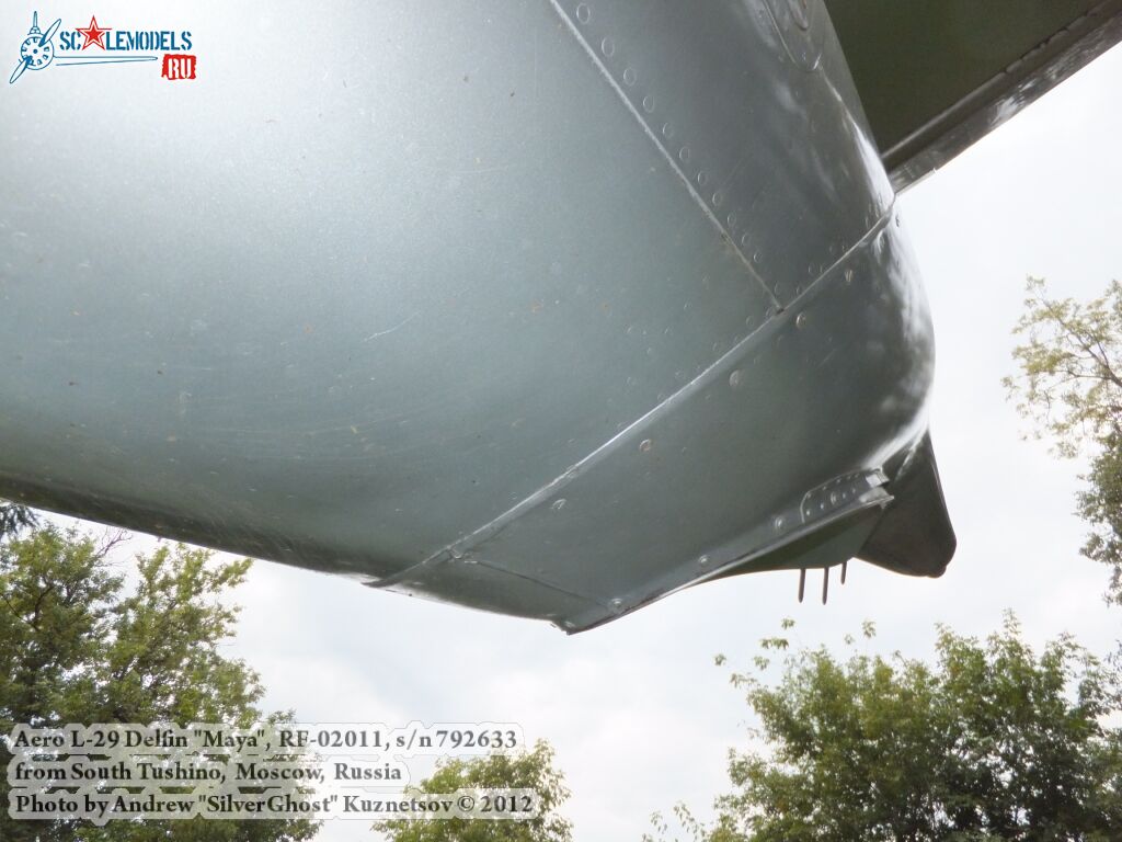 L-29_Delfin_0149.jpg