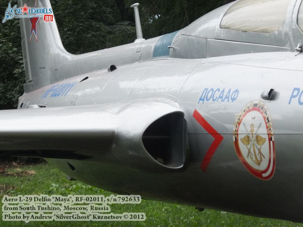 L-29_Delfin_0310.jpg