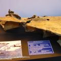 War_Remnants_Museum_0032.jpg