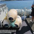 HMCS_Ville_de_Quebec_0162.jpg