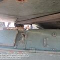 Leopard_1C2_0031.jpg