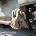 Leopard_1C2_0038.jpg