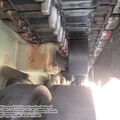 Leopard_1C2_0042.jpg