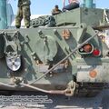 Leopard_1C2_0049.jpg