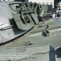 Leopard_1C2_0081.jpg