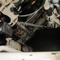 Leopard_1C2_0140.jpg