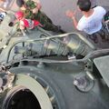 Leopard_1C2_0154.jpg