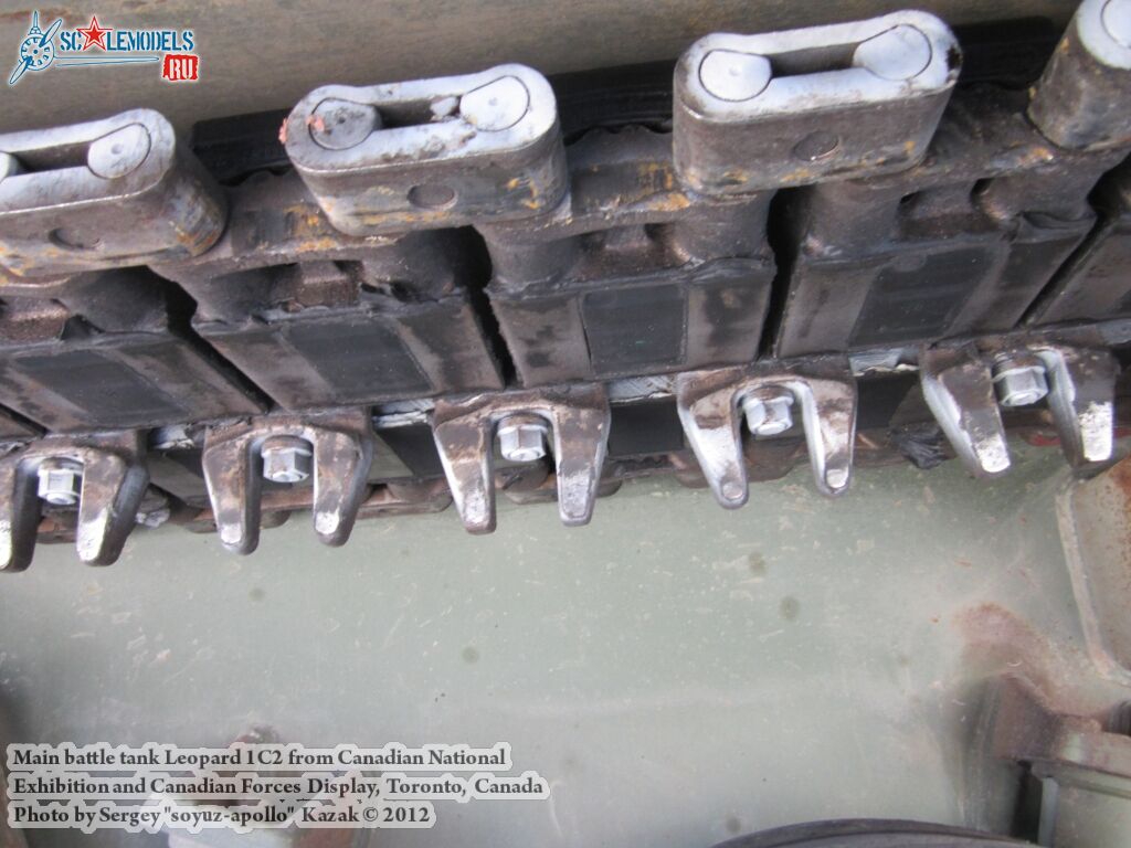 Leopard_1C2_0046.jpg