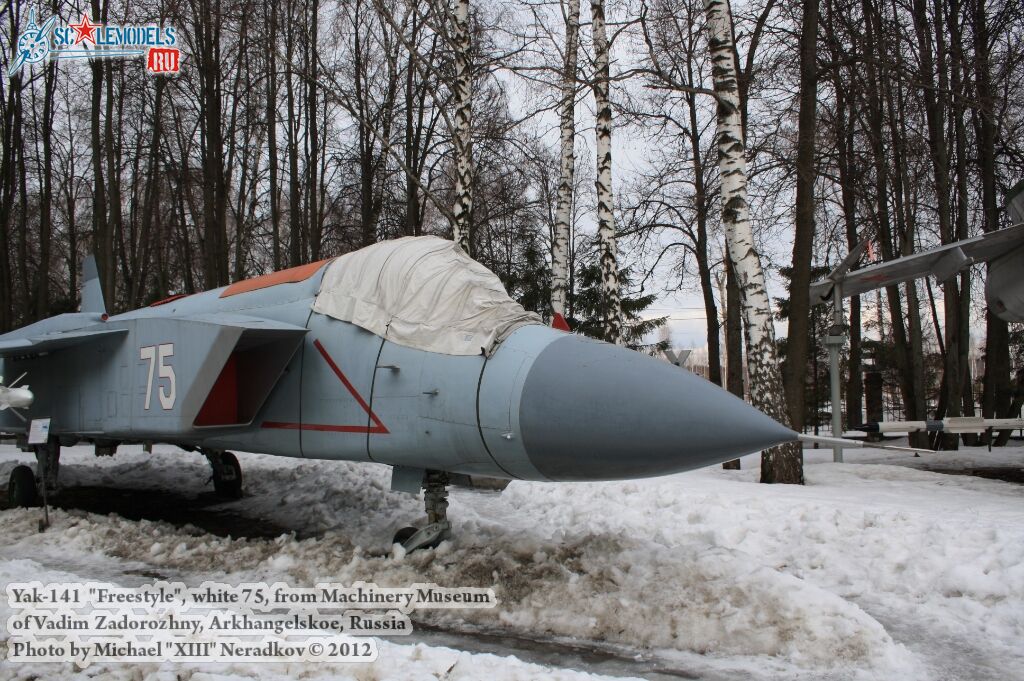 Yak-141_Freestyle_0000.jpg