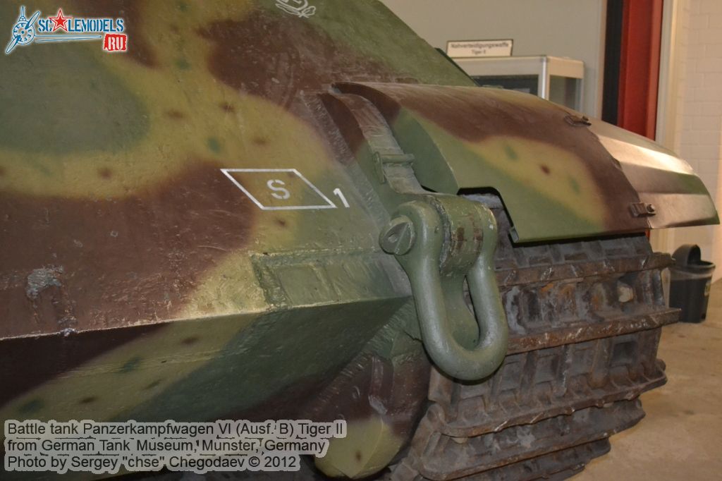 Tiger_II_0012.jpg