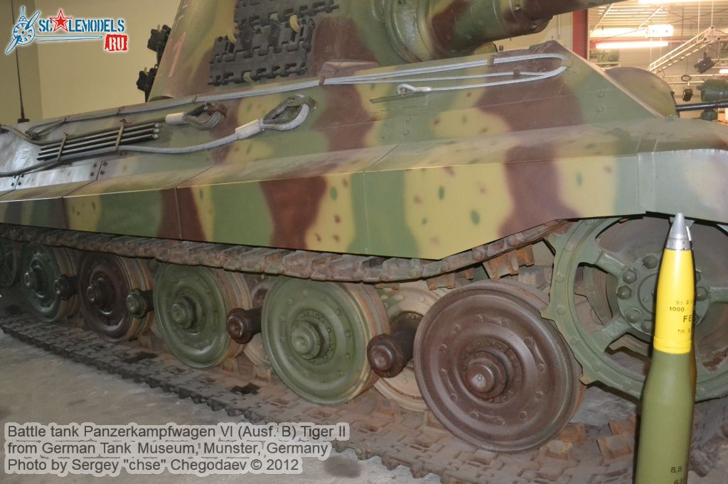 Tiger_II_0015.jpg