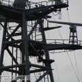 bdk_0164.jpg