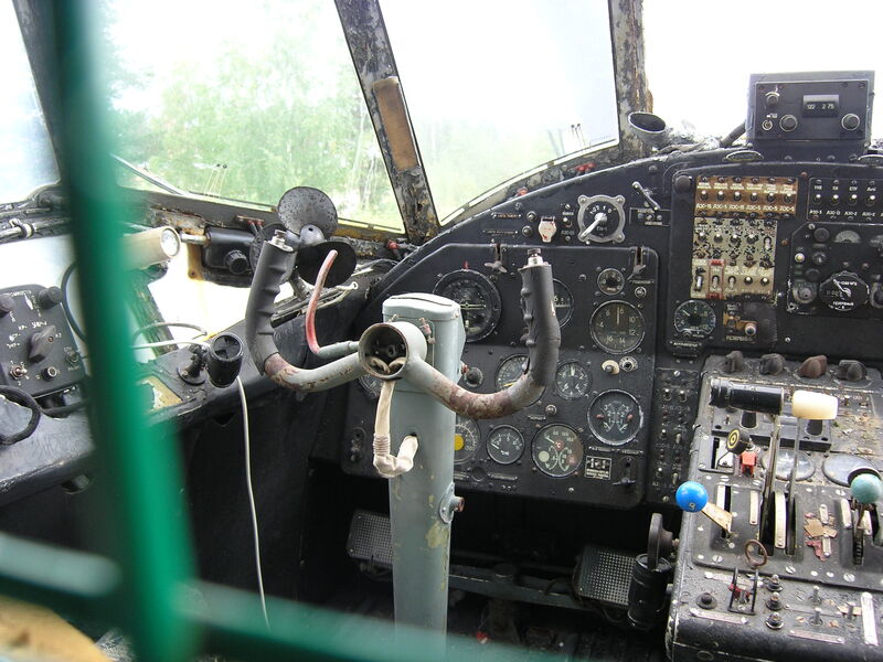P9170063.JPG