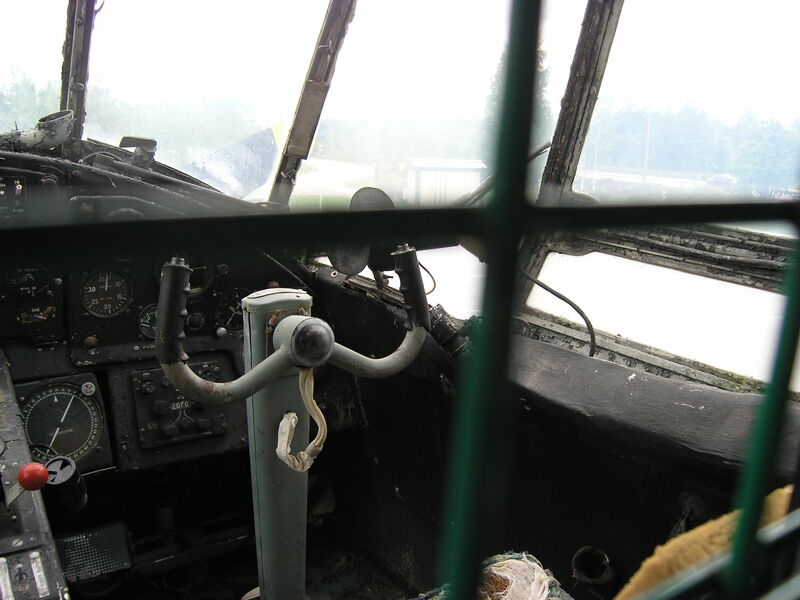 P9170064.JPG