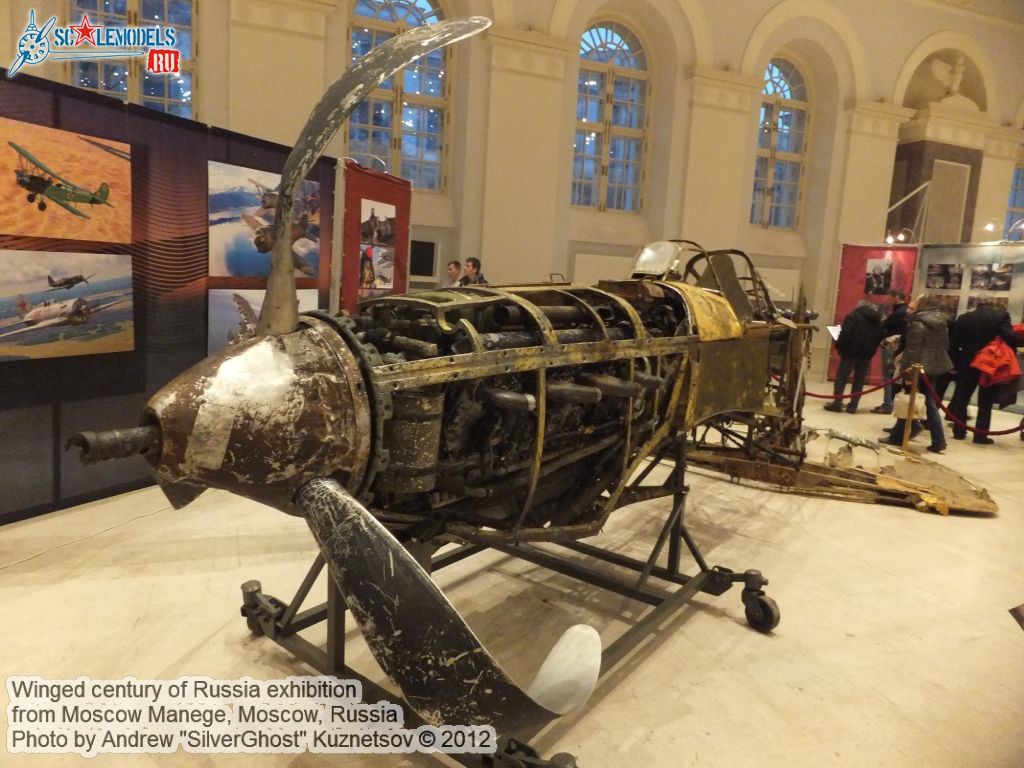 Wings_of_Russia_0000.jpg