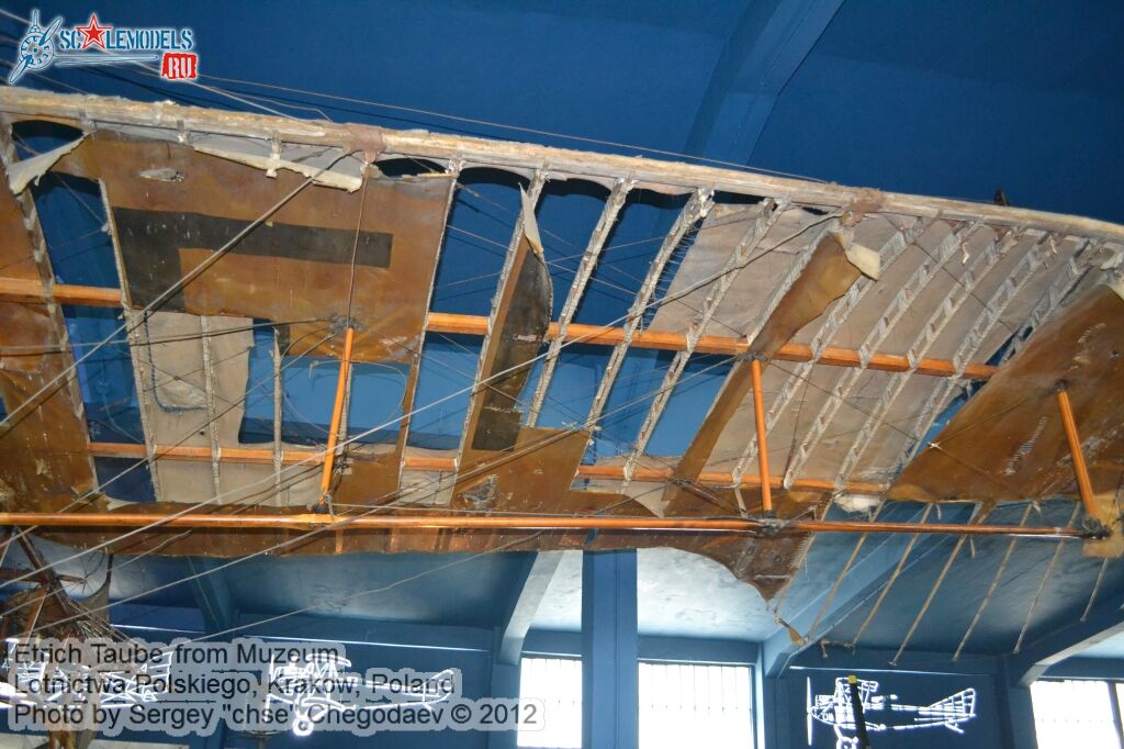 Aviatik_DFW_CV_0007.jpg