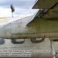 Tp8317.jpg