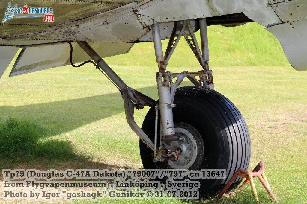 Tp7929.jpg