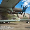 An-22_RA-09309_0085.jpg