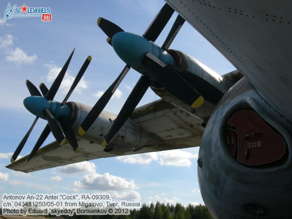 An-22_RA-09309_0195.jpg