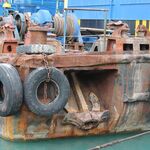 IMG_7819