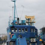 IMG_7822