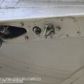 MiG-19PM_0031.jpg