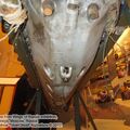 AM-38_engine_0031.jpg