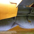 harvard_bam (38).jpg